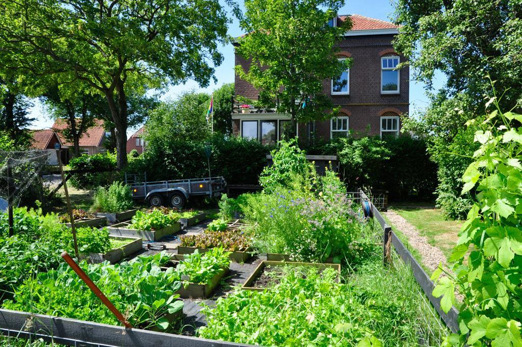 B&B De Postoari Terschelling Hoorn  Eksteriør bilde